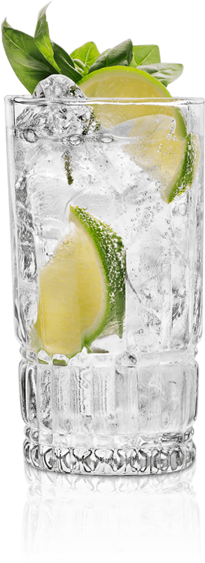 Gin & Tonic